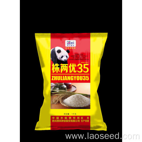 High Quality Natural rice seeds to plant